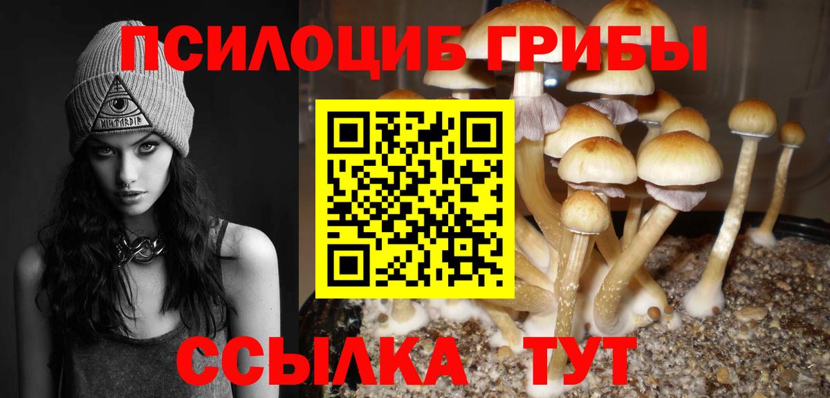 Галлюциногенные грибы ЛСД  Галлюциногенные грибы MAGIC MUSHROOMS  Вход с VPN  Владикавказ 